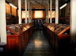 La Sala espositiva delle Collezioni Paleontologiche sita in  Roma Largo di Santa Susanna, 13