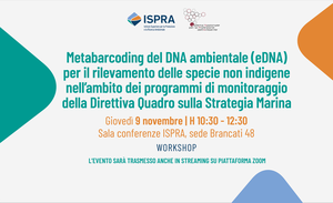 Metabarcoding of environmental DNA (eDNA) for the detection of non-indigenous species in the context of Marine Strategy Framework Directive monitoring programs