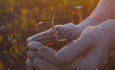 Here's what "losing land" means: New video of the Soil4life Project