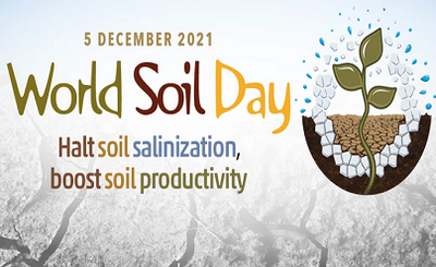 World Soil Day