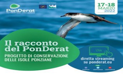 Final conference PonDerat project