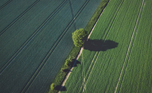 The soil: a resource to be protected. Final conference of the Soil4Life project