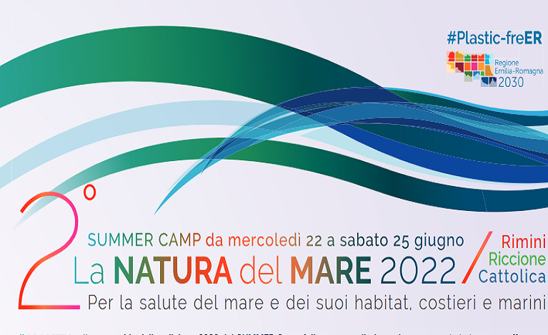 Summer Camp - The Nature of Sea 2022 — English