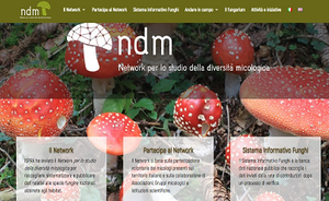 Online the web site for Network for the study of mycological diversity