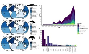 A Review of the Available Tools for Identifying Key Areas for Cetaceans and Marine Turtles: A New Study by ISPRA and the University of Rome La Sapienza