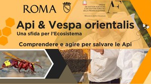 Bees & Vespa orientalis. A challenge for the ecosystem