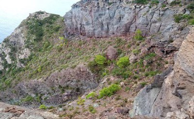 DigitAP Project: At the school of the "rebel" habitats of the Pantelleria Park