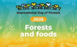 International Day of Forests 2025