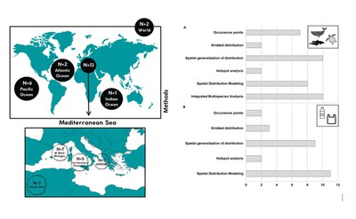 New Study Investigates Spatial Risk Exposure of Floating Marine Litter to Cetaceans and Sea Turtles