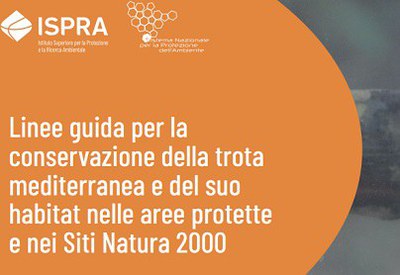 Online Guidelines for the conservation of Mediterranean trout and its habitat in protected areas and Natura 2000 sites