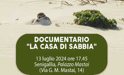 Presentation of the ISPRA documentary "The sand house"