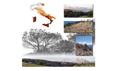 Terrestrial ecosystems and forest fires in Italy: fire season 2024