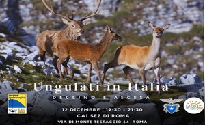 Ungulates in Italy. Decline and rise