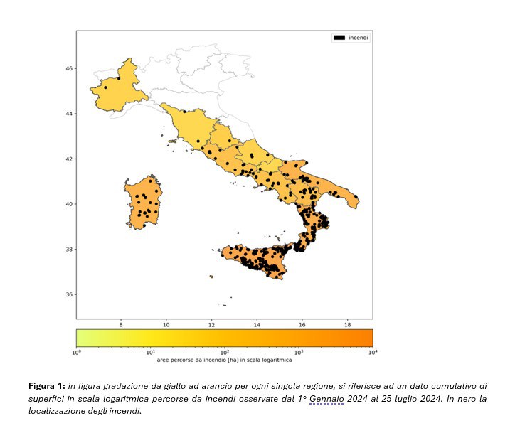 figura1-incendi-luglio2024.jpg