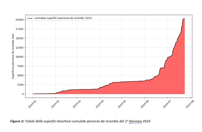 figura2-incendi-luglio2024.jpg