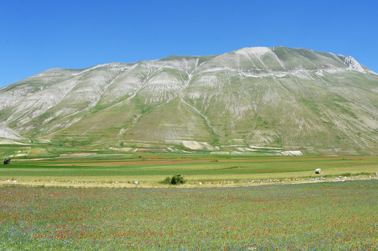 faglia monte vettore