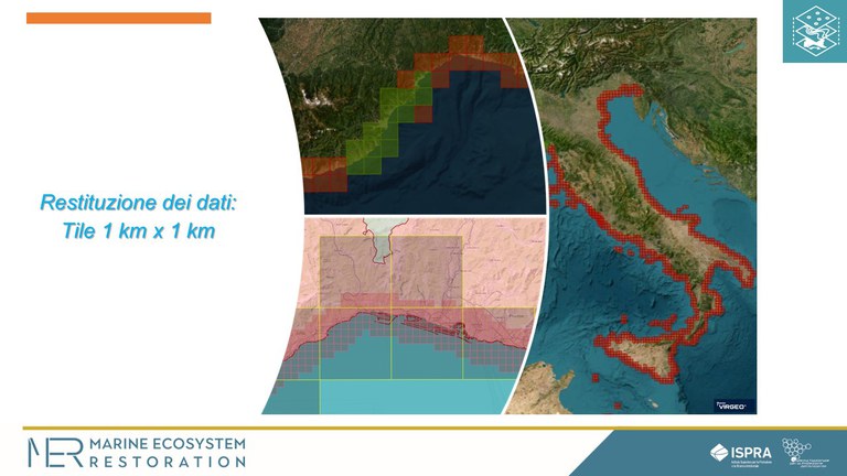 Restituzione dati in Tile 1km x 1 km