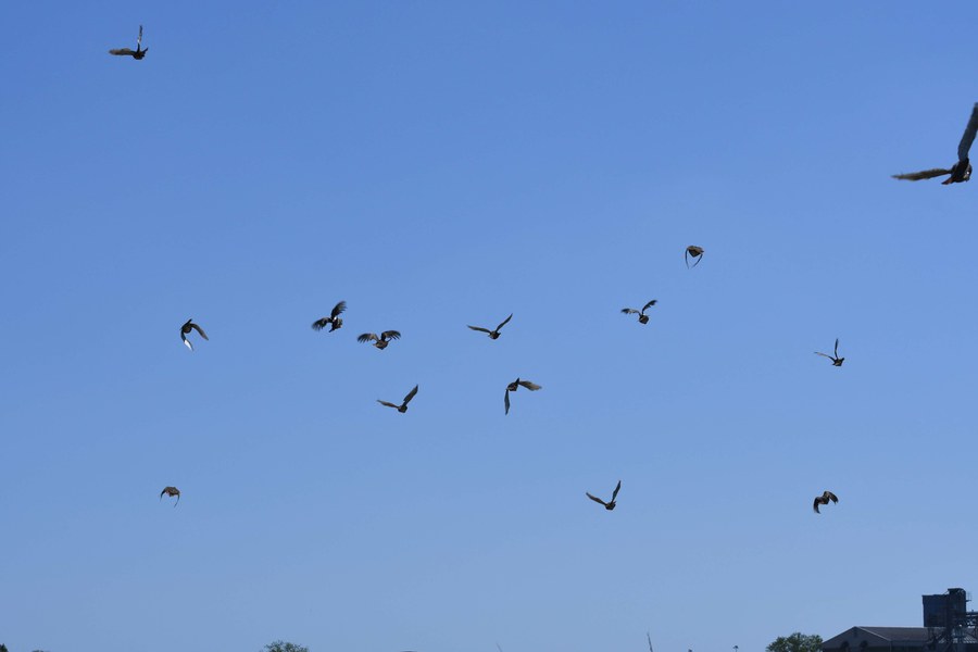 In volo appena uscite