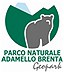 logo adamello.jpg