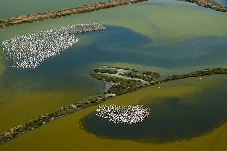 sentieri nell acqua.jpg