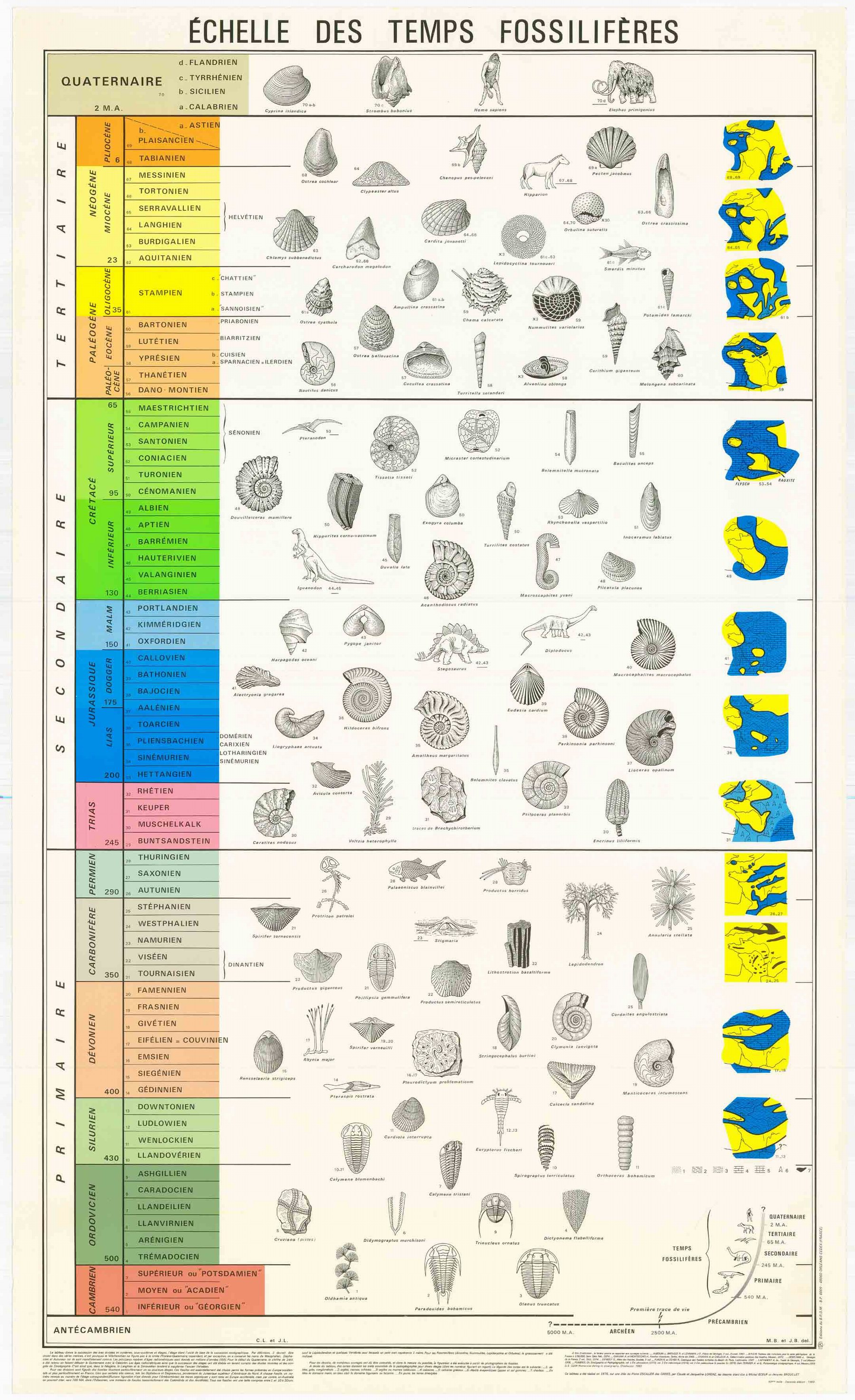 001009.tempi intranet original.jpg