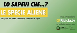 Tu lo sapevi che... Le specie aliene