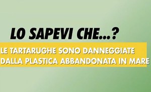 Lo sapevi che..? Le tartarughe sono danneggiate dalla plastica abbandonata in mare