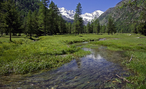 Aggiornato al 31/12/2020 il Repertorio dello stato di attuazione dei Piani per il Parco nei Parchi Nazionali