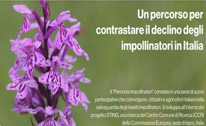 Percorso impollinatori - Mostra "Rintracciare le esperienze"