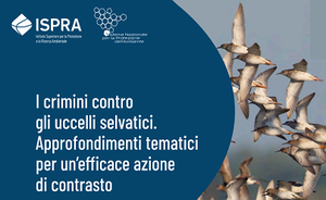 I crimini contro gli uccelli selvatici. Approfondimenti tematici per un'efficace azione di contrasto