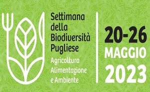 Presagi della diversità e rischi del cambiamento climatico