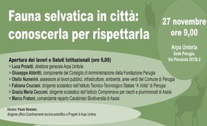 Fauna selvatica in città: conoscerla per rispettarla