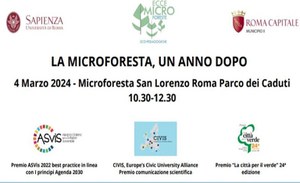 La microforesta, un anno dopo