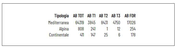 aree-1-bio.JPG