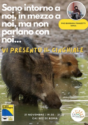 cinghiale.jpg