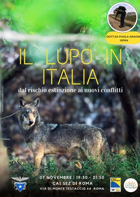 lupi-in-italia.jpg