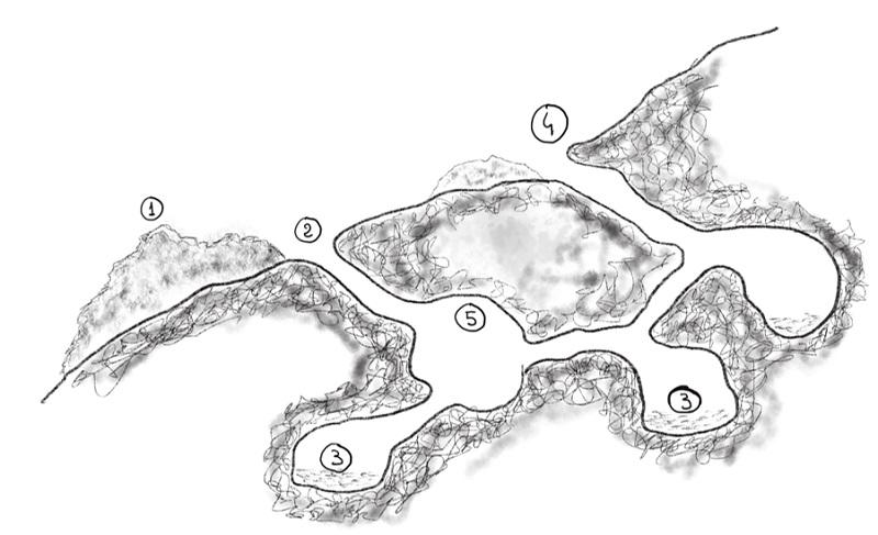 Schema di una tana di tasso: 1) Materiali di scavo e vecchie lettiere; 2) entrata;  3) camere con lettiere per i  piccoli; 4) uscita secondaria;  5) camera per il riposo