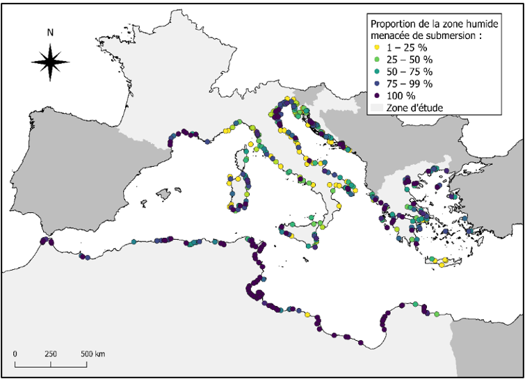 Mappa delle zone umide costiere importanti per gli uccelli acquatici minacciate di sommersione secondo lo scenario più pessimistico (+ 161 cm). © Fabien Verniest