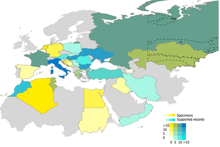 Distribuzione geografica per paesi 