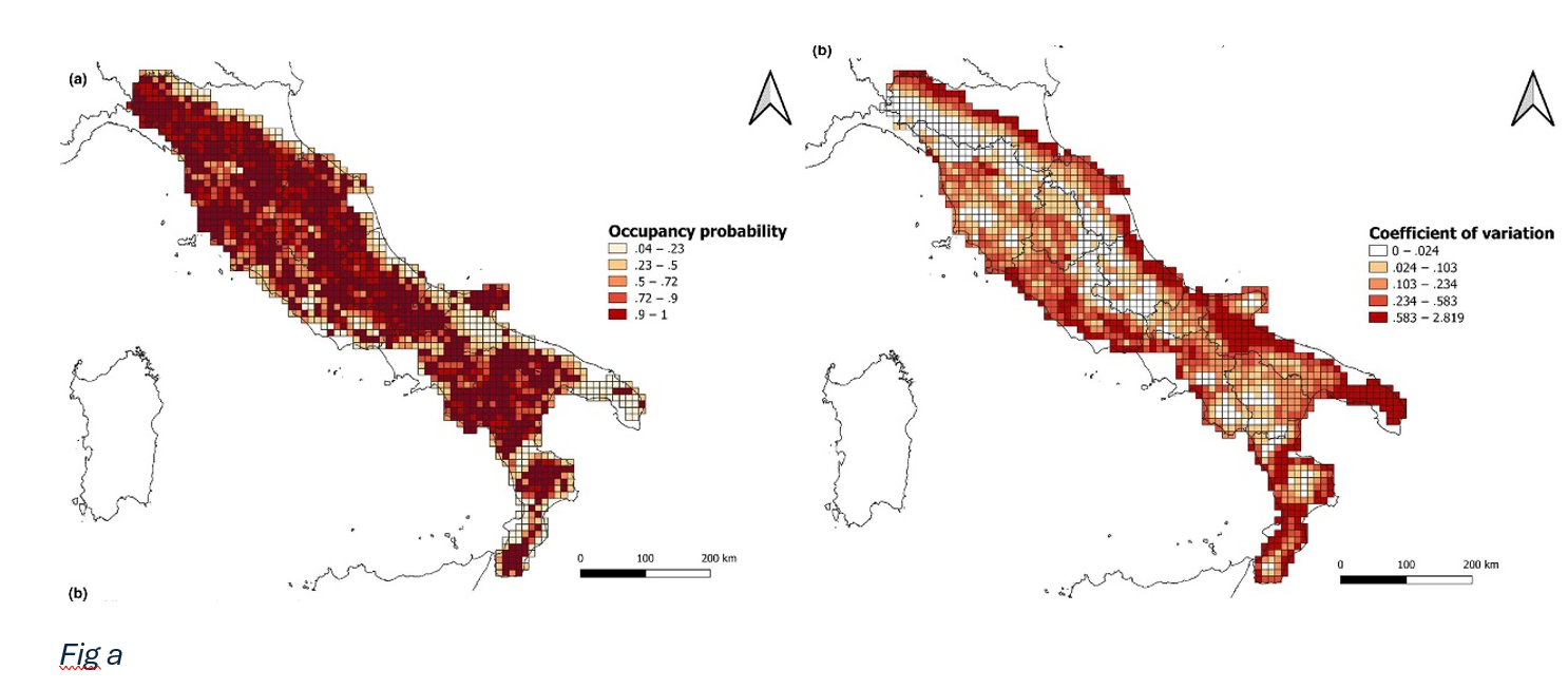 stima della distribuzione del lupo.png