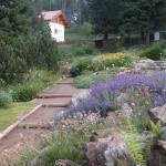 Giardino Alpino "Le Viotte" di Monte Bondone