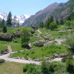 Giardino Botanico Alpino Paradisia