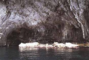 Grotta Zinzulusa