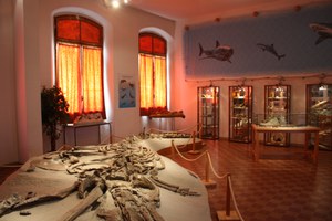 Gruppo AVIS Paleontologia e Mineralogia