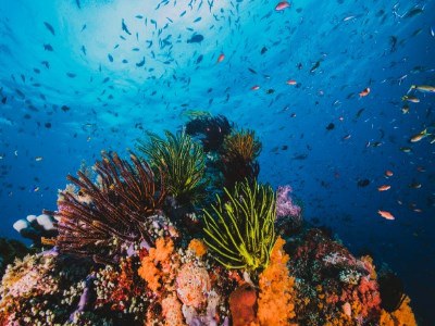 MuMAT Civico museo del mare di Tropea