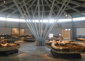 Museo Paleontologico Luigi Boldrini di Pietrafitta