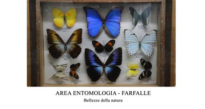 Museo Etnografico di Scienze Naturali 'Missioni Consolata'