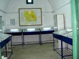 Museo malacologico delle argille e Parco dei fossili