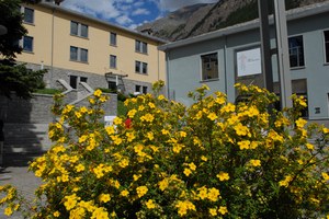 Museo Minerario Regionale di Cogne, Fondation Grand Paradis -o Museo Minerario Alpino-