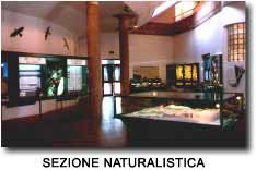 Museo Naturalistico Archeologico M. Locati